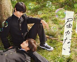 泛页面关键词0218